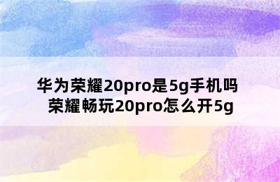 华为荣耀20pro是5g手机吗 荣耀畅玩20pro怎么开5g